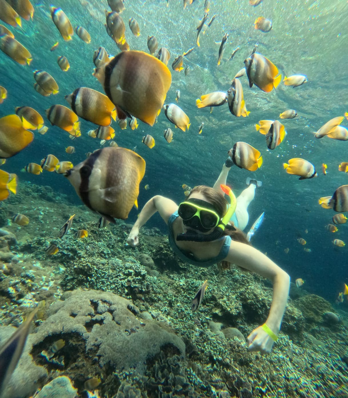 WhatsApp Image 2026-02-28 at 1.10.25 PM