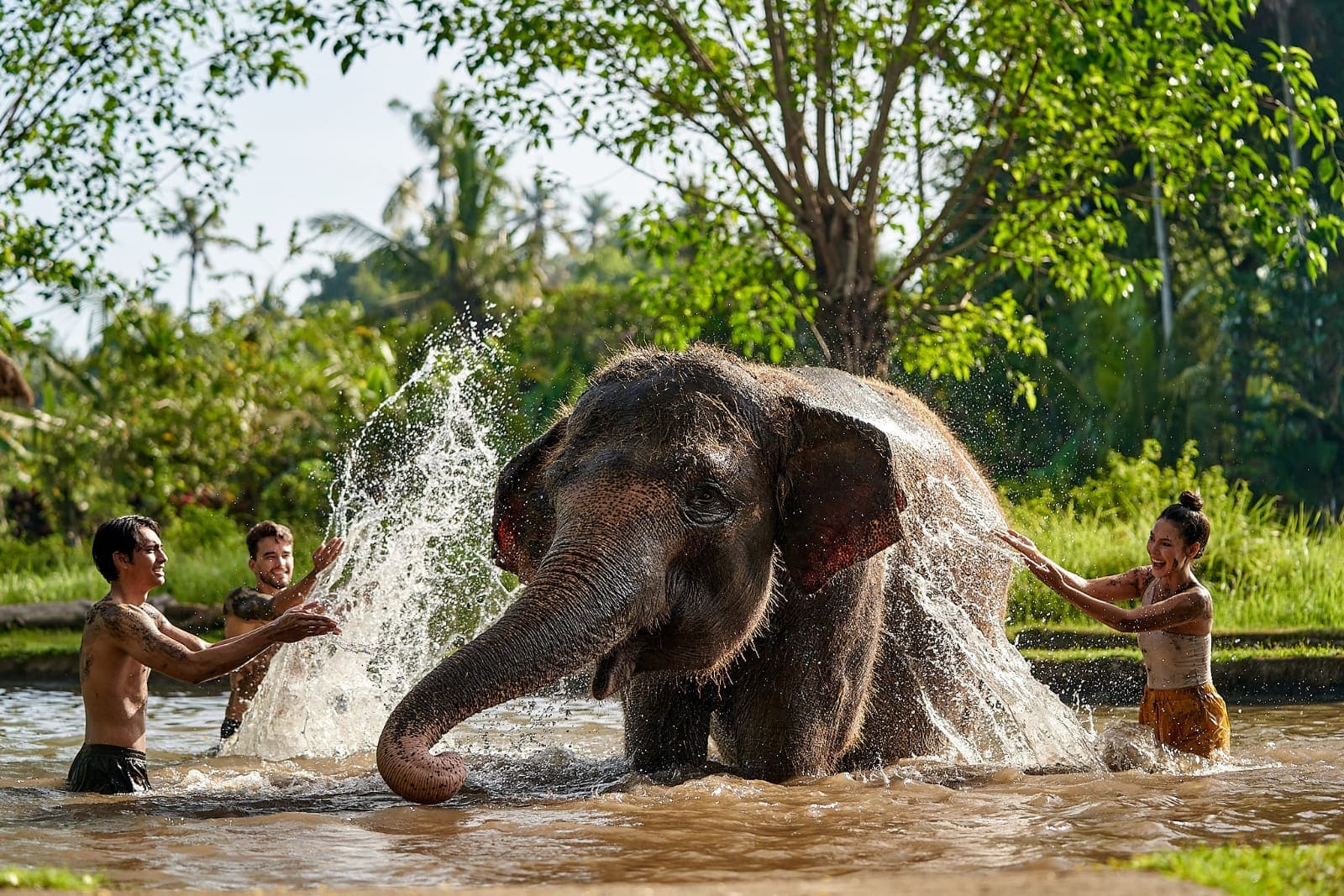 WhatsApp Image 2026-02-28 at 7.23.26 PM